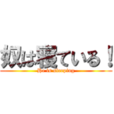 奴は寝ている！ (He is sleeping)