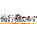 奇行種のゆず (eccentric behavior of Yuzu)