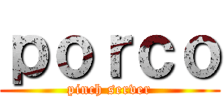 ｐｏｒｃｏ (pinch server)