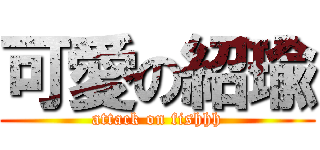 可愛の紹瑜 (attack on fishhh)