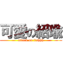 可愛の紹瑜 (attack on fishhh)