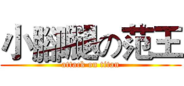 小腳腿の范王 (attack on titan)