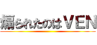 煽られたのはＶＥＮ ()