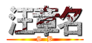 汪章名 (S  B)