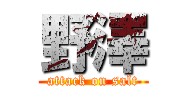 野澤 (attack on salt)