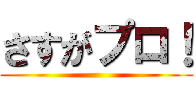 さすがプロ！ ()