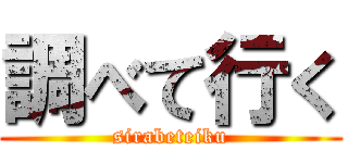 調べて行く (sirabeteiku)