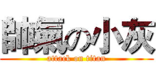 帥氣の小灰 (attack on titan)