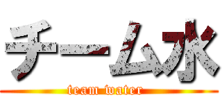 チーム水 (team water )
