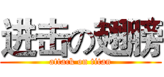 进击の翅膀 (attack on titan)