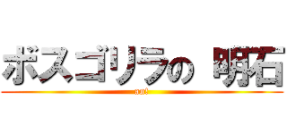 ボスゴリラの 明石 (an!)