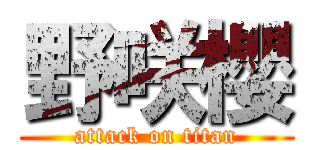 野咲櫻 (attack on titan)