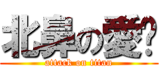 北鼻の愛你 (attack on titan)