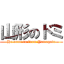 山形のドミ (He come to from Yamagata)
