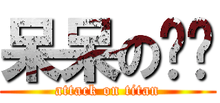 呆呆の晓璇 (attack on titan)