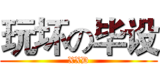 玩坏の毕设 (XXD)