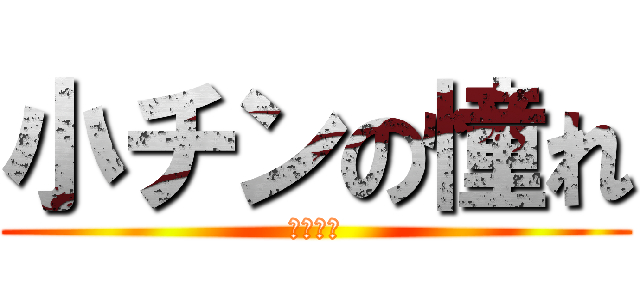 小チンの憧れ (性行為編)