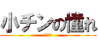 小チンの憧れ (性行為編)