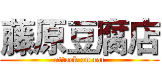 藤原豆腐店 (attack on cat)