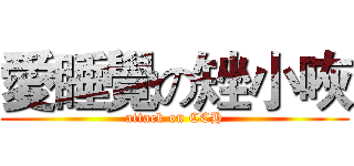 愛睡覺の矬小咴 (attack on CCH)