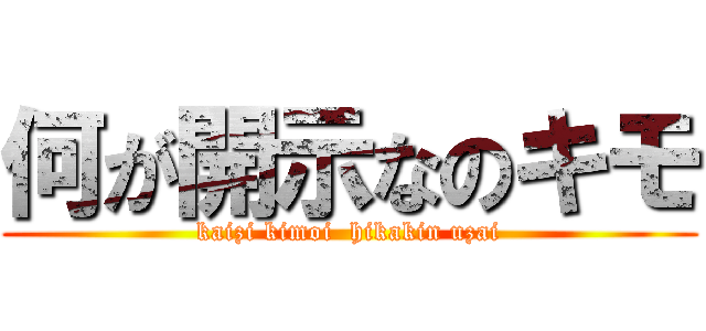 何が開示なのキモ (kaizi kimoi  hikakin uzai)
