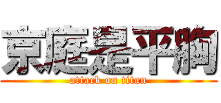 京庭是平胸 (attack on titan)