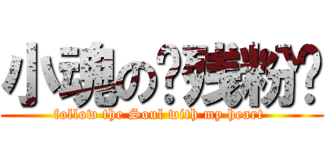 小魂の脑残粉™ (follow the Soul with my heart )
