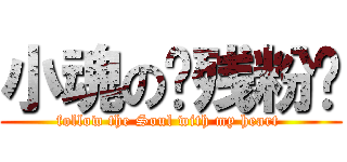 小魂の脑残粉™ (follow the Soul with my heart )