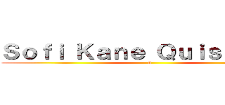 Ｓｏｆｉ Ｋａｎｅ Ｑｕｉｓｔｉａｎｏ (n)