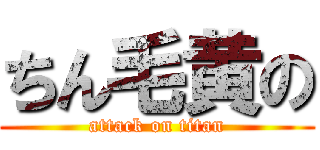 ちん毛黄の (attack on titan)
