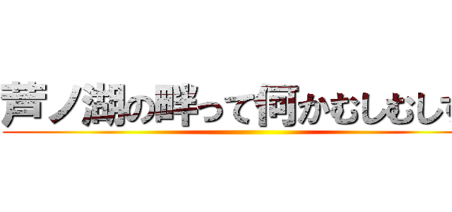 芦ノ湖の畔って何かむしむしする ()