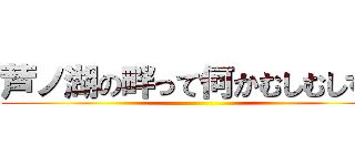 芦ノ湖の畔って何かむしむしする ()