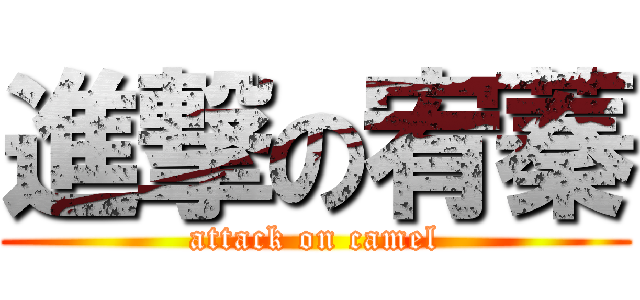 進撃の宥蓁 (attack on camel)