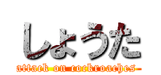 しょうた (attack on cockroaches )
