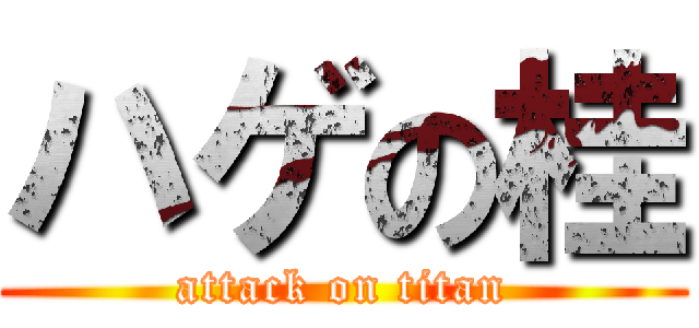 ハゲの桂 (attack on titan)