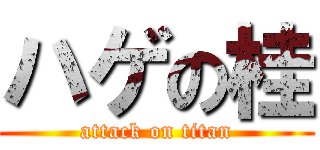 ハゲの桂 (attack on titan)