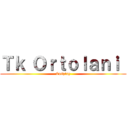 Ｔｋ Ｏｒｔｏｌａｎｉ  (Cosplay)