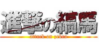 進撃の縞馬 (attack on zebra)