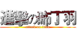 進擊の咘丁羽 (attack on titan)