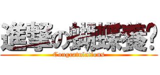 進撃の蝴蝶養貓 (Congratulations)