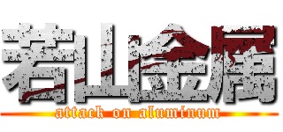 若山金属 (attack on aluminum)