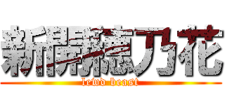 新開穂乃花 (lewd beast)