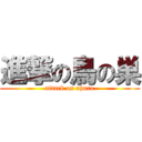 進撃の鳥の巣 (attack on ahuro)