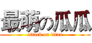 最萌の瓜瓜 (attack on titan)
