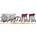 最萌の瓜瓜 (attack on titan)