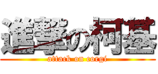 進撃の柯基 (attack on corgi)
