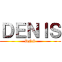 ＤＥＮＩＳ (DNS)