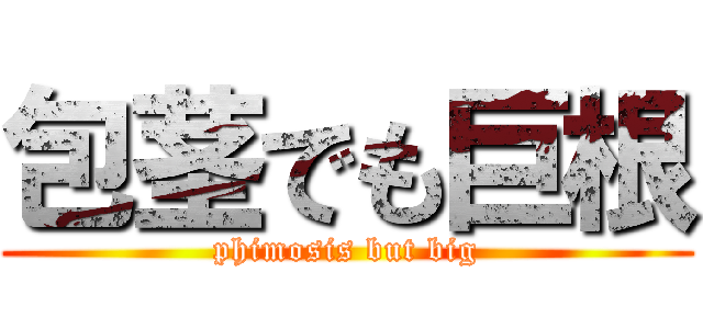 包茎でも巨根 (phimosis but big)