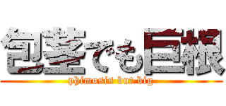 包茎でも巨根 (phimosis but big)