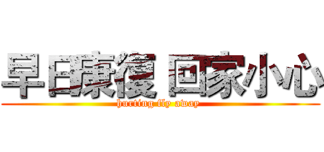 早日康復 回家小心 (hurting fly away )